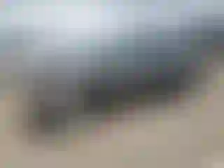 Vehicle Image- 2007 Toyota Prius