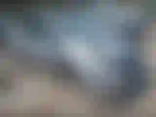 Vehicle Image- 2007 Toyota Prius