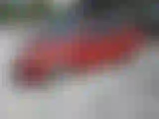 Vehicle Image- 2007 Toyota Prius