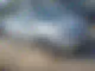 Vehicle Image- 2007 Toyota Prius