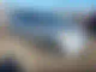 Vehicle Image- 2007 Toyota Prius