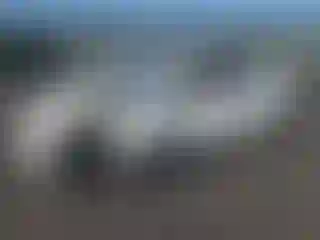 Vehicle Image- 2007 Toyota Prius