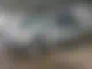 Vehicle Image- 2007 Toyota Prius