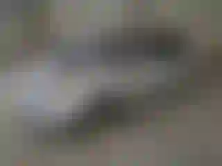 Vehicle Image- 2007 Toyota Prius