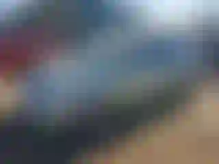 Vehicle Image- 2007 Toyota Prius