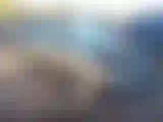 Vehicle Image- 2008 Toyota Prius