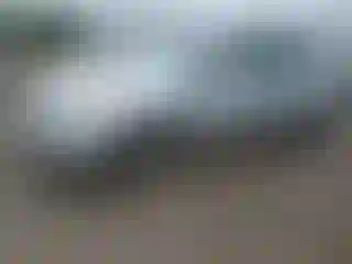 Vehicle Image- 2008 Toyota Prius