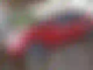 Vehicle Image- 2008 Toyota Prius