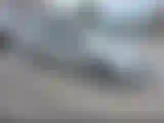 Vehicle Image- 2008 Toyota Prius