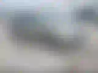 Vehicle Image- 2008 Toyota Prius