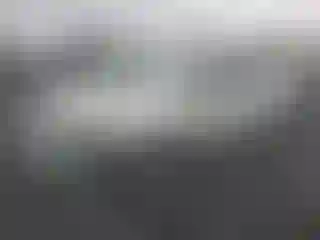 Vehicle Image- 2008 Toyota Prius