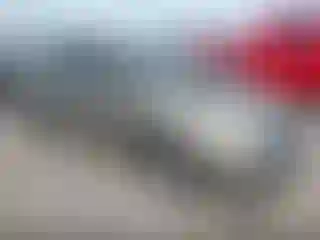 Vehicle Image- 2008 Toyota Prius
