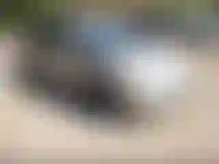 Vehicle Image- 2008 Toyota Prius