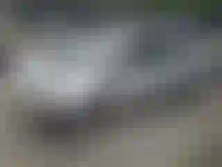 Vehicle Image- 2009 Toyota Prius