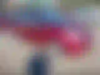 Vehicle Image- 2004 Toyota Prius