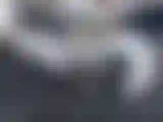 Vehicle Image- 2004 Toyota Prius