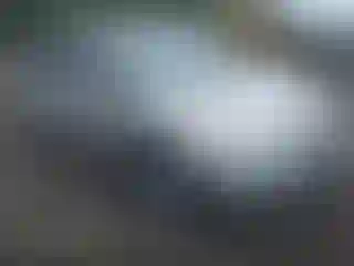 Vehicle Image- 2004 Toyota Prius
