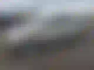 Vehicle Image- 2005 Toyota Prius