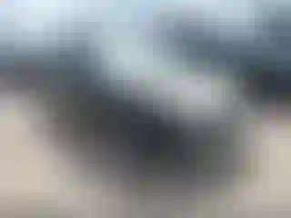 Vehicle Image- 2005 Toyota Prius