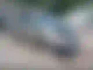 Vehicle Image- 2005 Toyota Prius