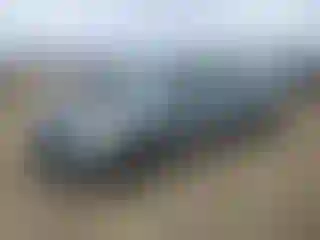 Vehicle Image- 2005 Toyota Prius