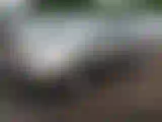 Vehicle Image- 2005 Toyota Prius