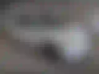 Vehicle Image- 2006 Toyota Prius