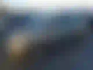 Vehicle Image- 2006 Toyota Prius