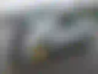 Vehicle Image- 2006 Toyota Prius