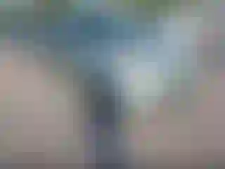 Vehicle Image- 2006 Toyota Prius