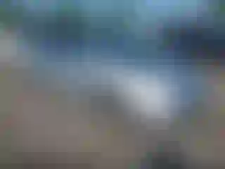 Vehicle Image- 2006 Toyota Prius