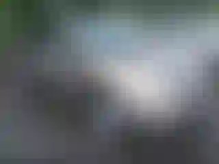 Vehicle Image- 2006 Toyota Prius