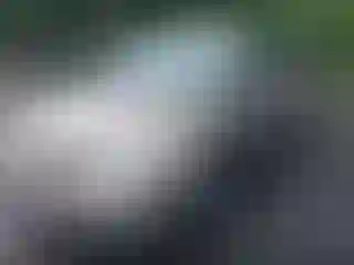 IMPORTOWO.pl