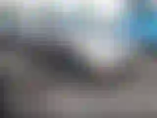 Vehicle Image- 2007 Toyota Prius