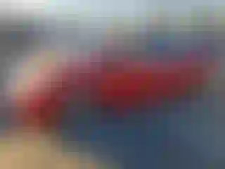 Vehicle Image- 2007 Toyota Prius