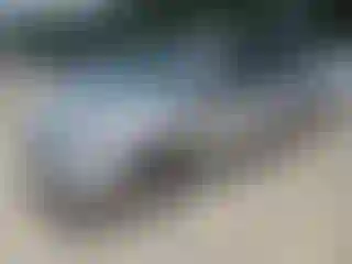 Vehicle Image- 2007 Toyota Prius