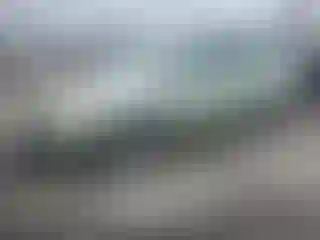 Vehicle Image- 2007 Toyota Prius