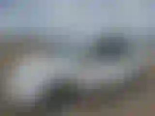 Vehicle Image- 2007 Toyota Prius