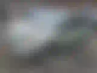 Vehicle Image- 2007 Toyota Prius