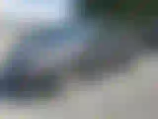 Vehicle Image- 2008 Toyota Prius