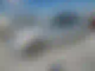 Vehicle Image- 2008 Toyota Prius