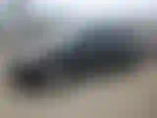 Vehicle Image- 2008 Toyota Prius