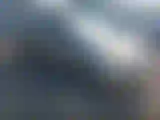 Vehicle Image- 2008 Toyota Prius