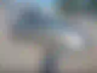 Vehicle Image- 2008 Toyota Prius