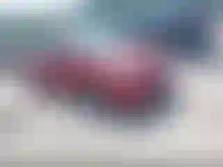 Vehicle Image- 2009 Toyota Prius