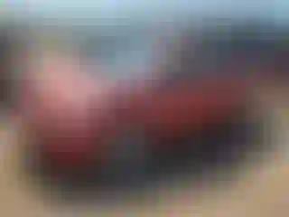 Vehicle Image- 2009 Toyota Prius