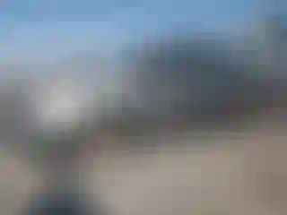 Vehicle Image- 2004 Toyota Prius