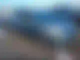 Vehicle Image- 2004 Toyota Prius