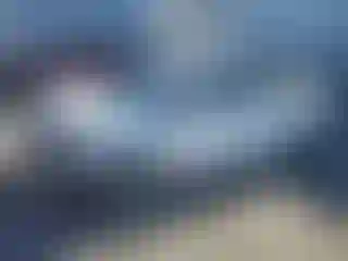 Vehicle Image- 2004 Toyota Prius