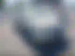 Vehicle Image- 2004 Toyota Prius